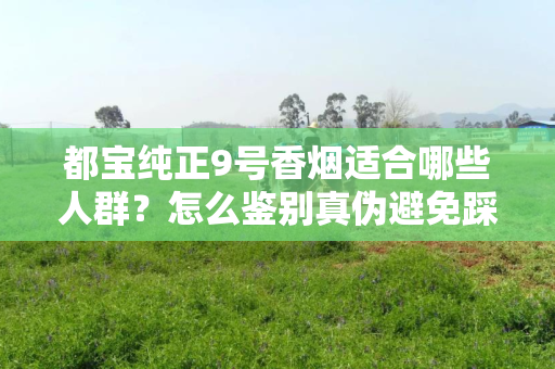 都宝纯正9号香烟适合哪些人群？怎么鉴别真伪避免踩坑？